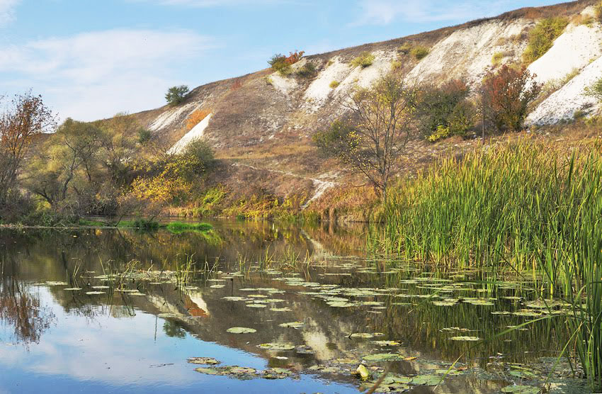 Крейдова гора біля с.Кіндрашівка